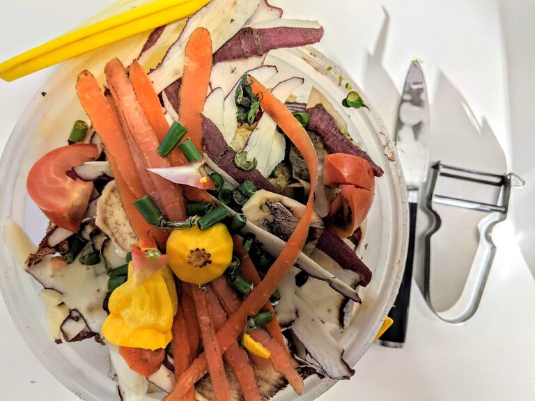 Simple Ways to Reduce Food Waste at Home and Save Money